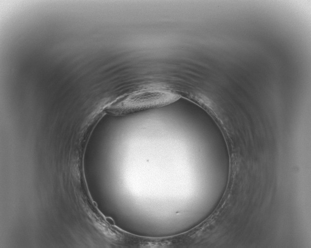 X0000062150345200512121313