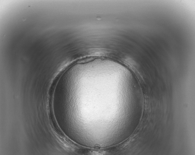 X0000062150346200512121313