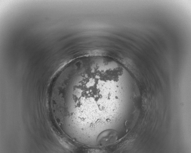 X0000062150347200512121313