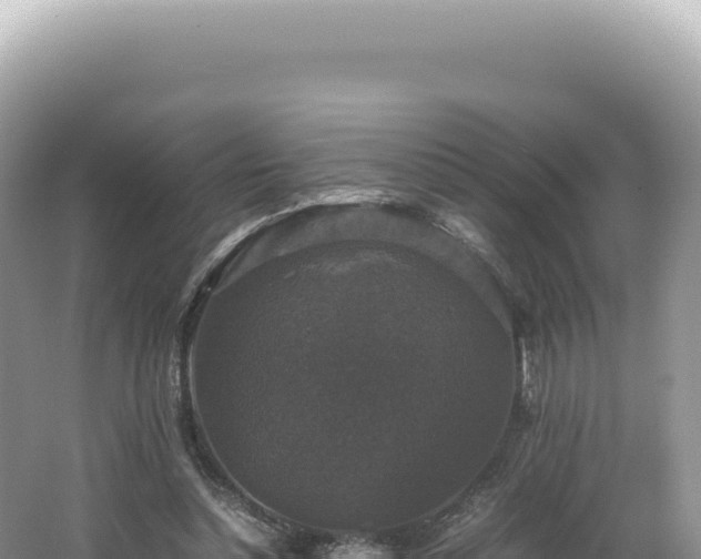 X0000062150348200512121313