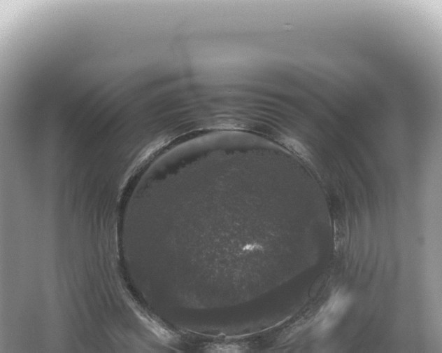 X0000062150349200512121313