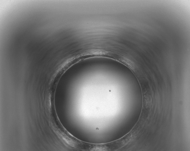 X0000062150350200512121313