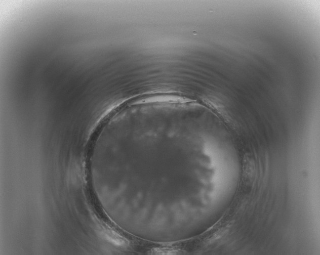 X0000062150351200512121313