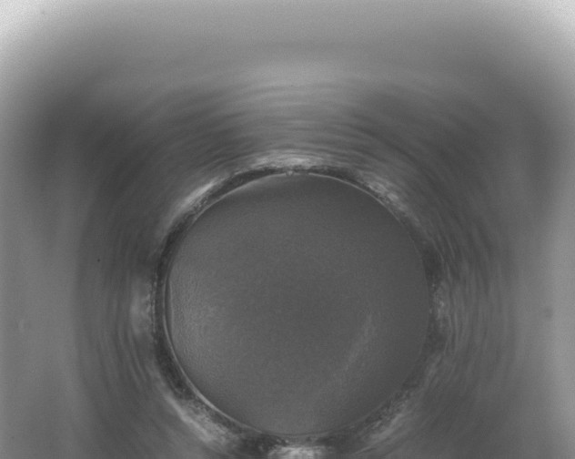 X0000062150352200512121314