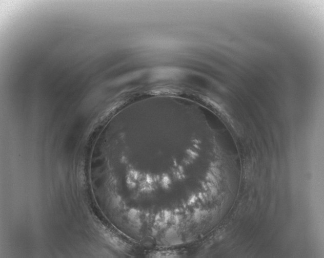 X0000062150353200512121314