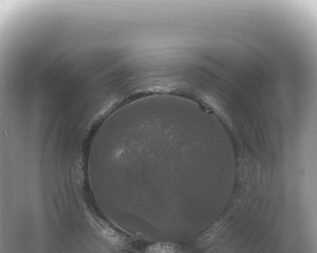 X0000062150354200512121314