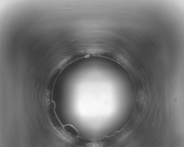 X0000062150356200512121314