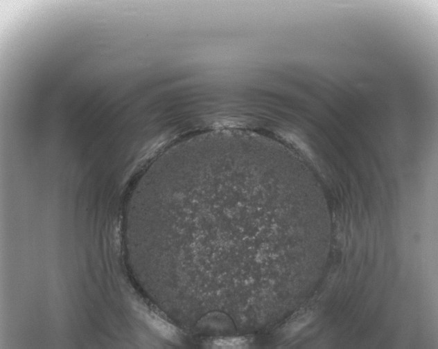 X0000062150357200512121314