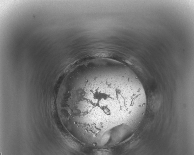 X0000062150359200512121314