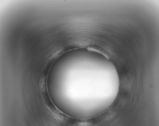 X0000062150360200512121314