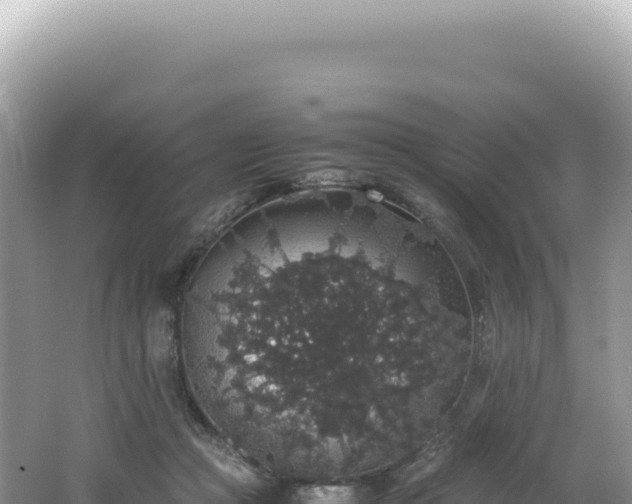 X0000062150361200512121314