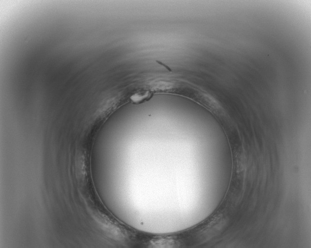 X0000062150362200512121314