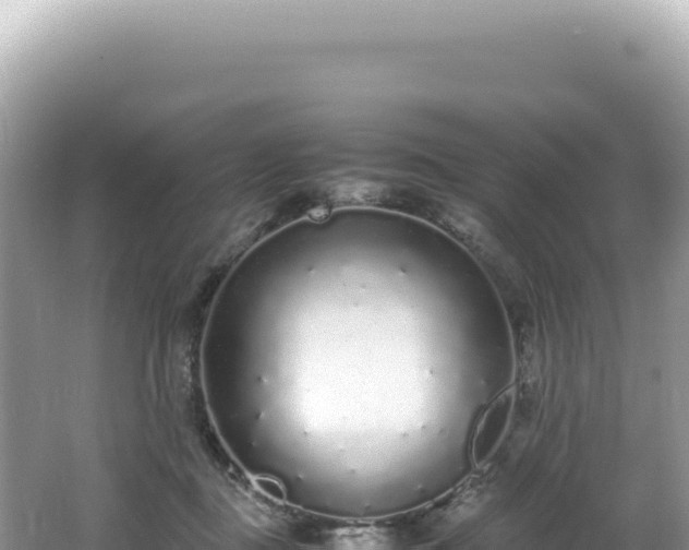 X0000062150363200512121314