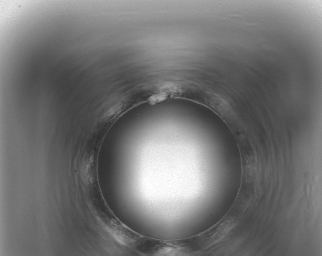 X0000062150364200512121314