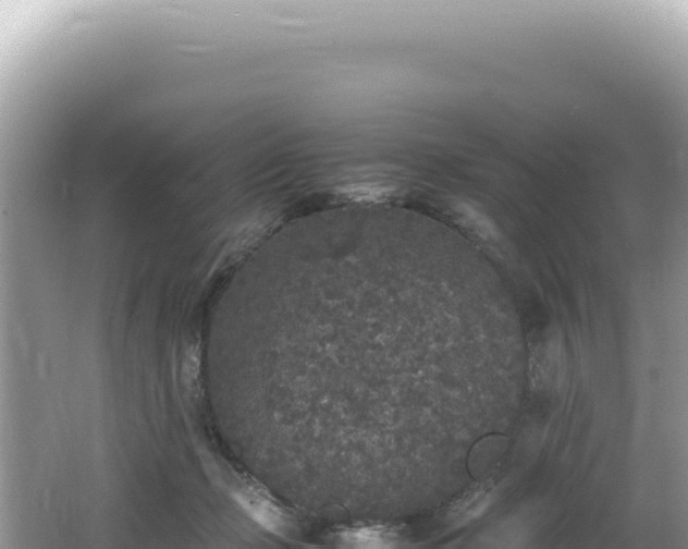 X0000062150365200512121314