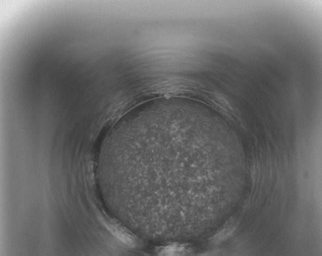 X0000062150366200512121314