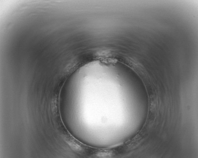 X0000062150369200512121314