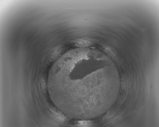 X0000062150371200512121314