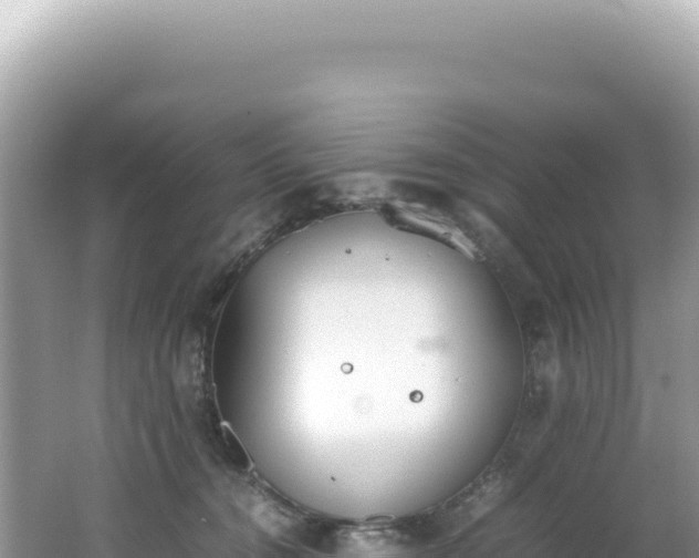 X0000062150372200512121314