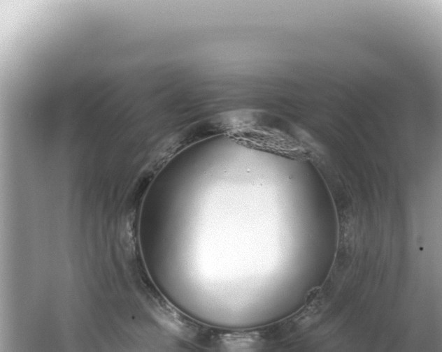 X0000062150373200512121314