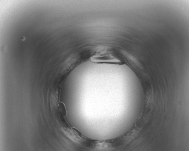 X0000062150376200512121314