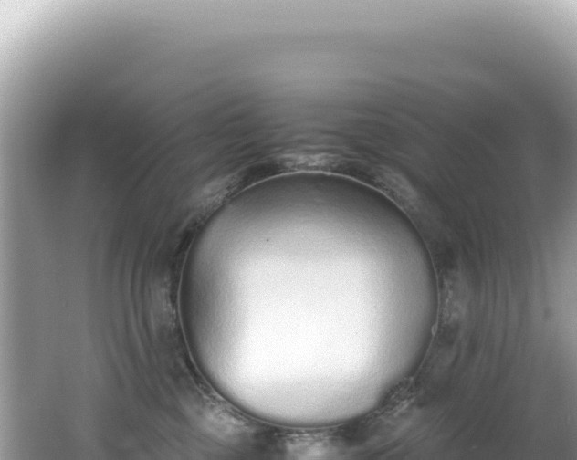 X0000062150377200512121314