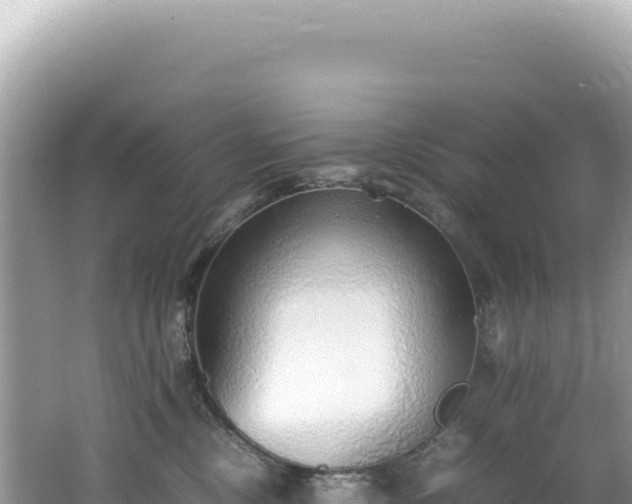 X0000062150378200512121314