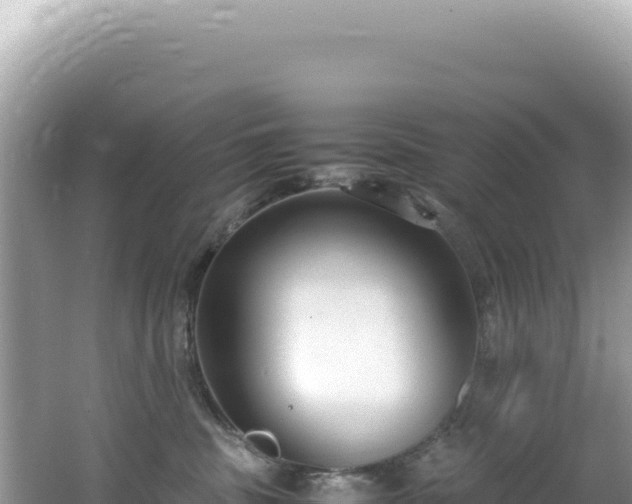 X0000062150379200512121314