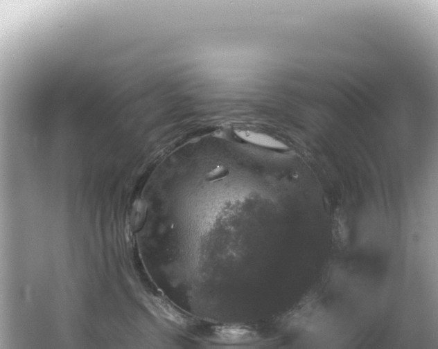 X0000062150380200512121314