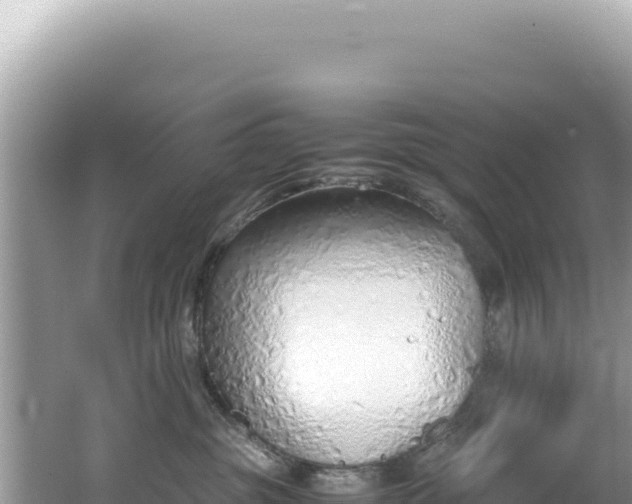 X0000062150381200512121314