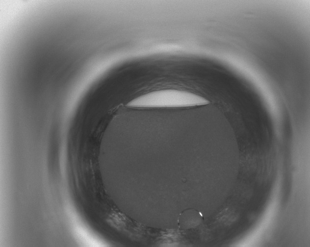 X0000062150382200512121314