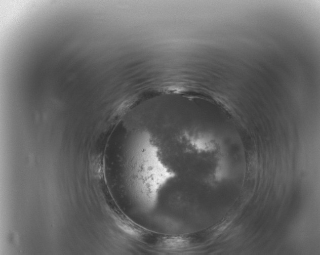 X0000062150383200512121314