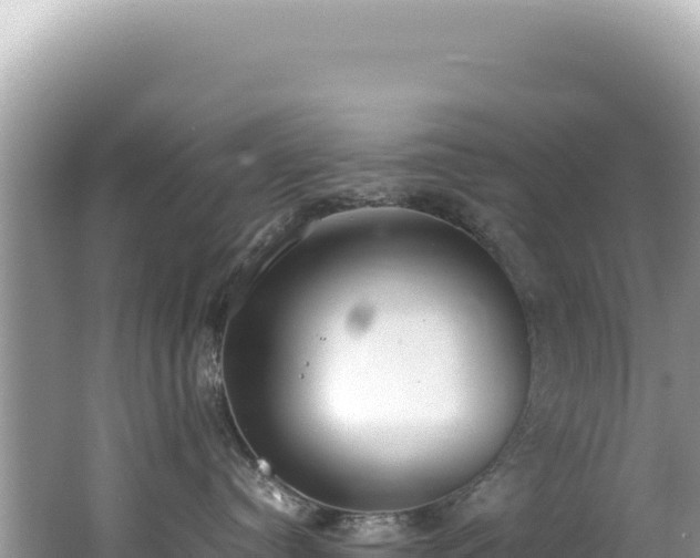 X0000062150384200512121314