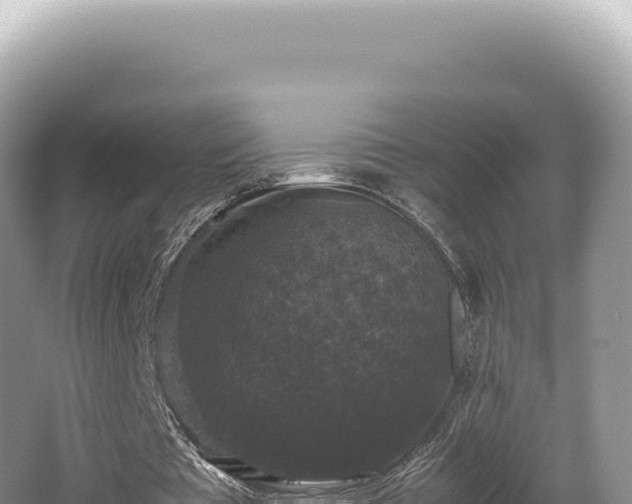 X0000062150385200512121313