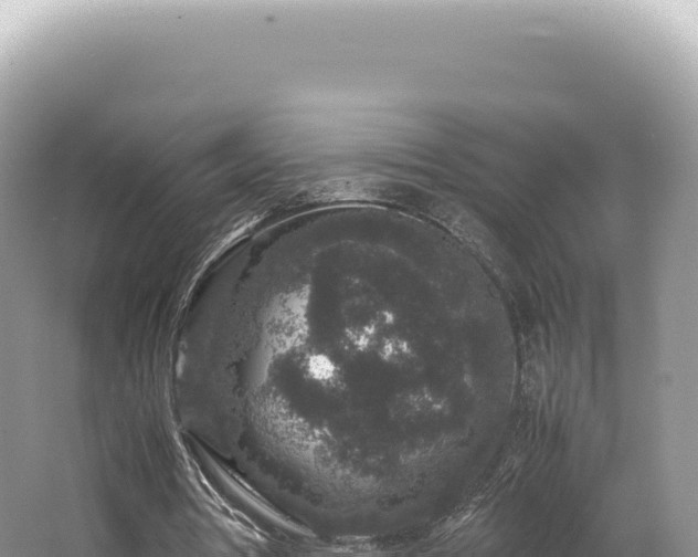 X0000062150386200512121313