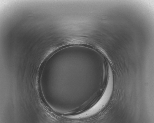 X0000062150387200512121313