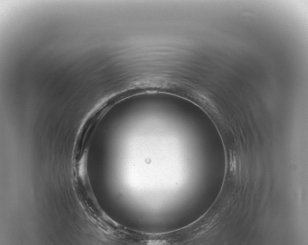 X0000062150388200512121313