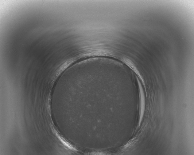 X0000062150389200512121313