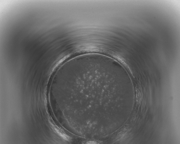 X0000062150390200512121313