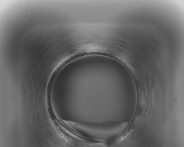 X0000062150391200512121313