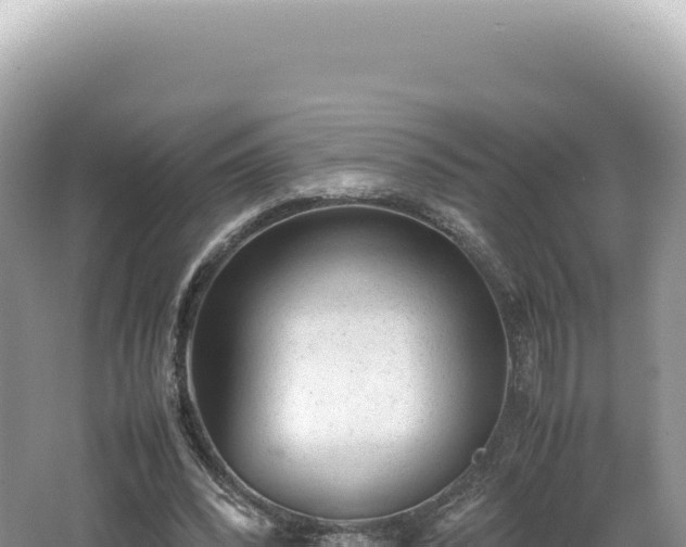 X0000062150392200512121313