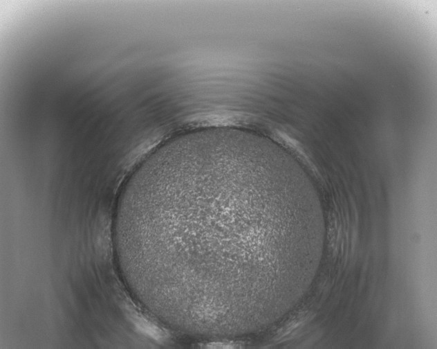 X0000062150394200512121313