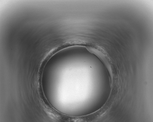 X0000062150395200512121313