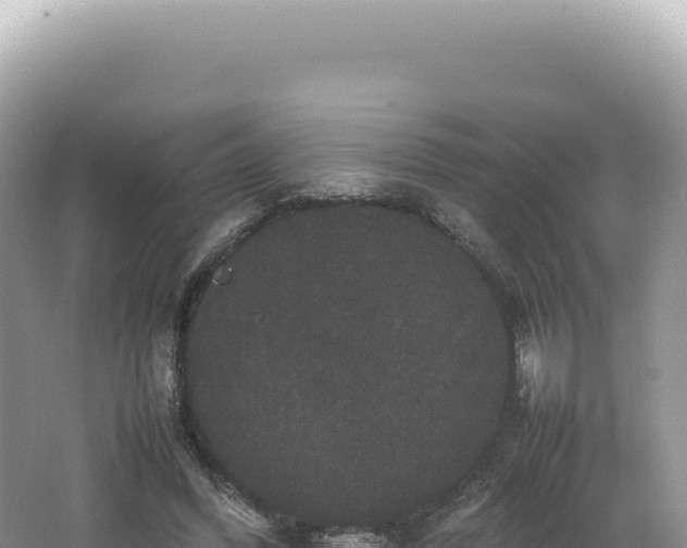 X0000062150396200512121313