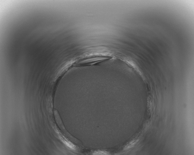 X0000062150397200512121313