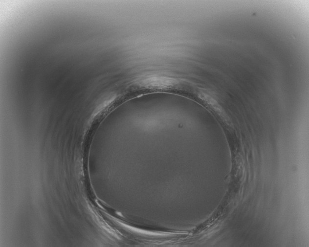 X0000062150399200512121313