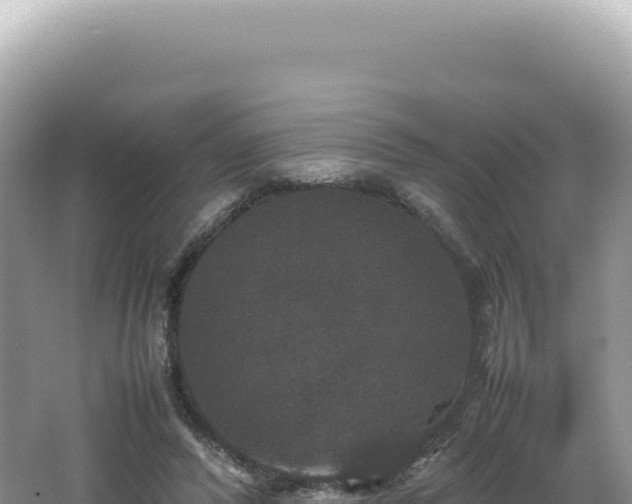 X0000062150400200512121313