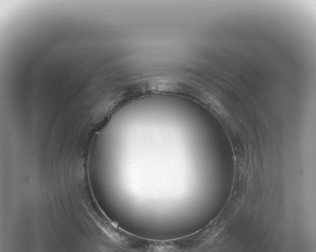 X0000062150401200512121313