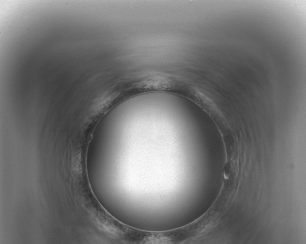 X0000062150403200512121313