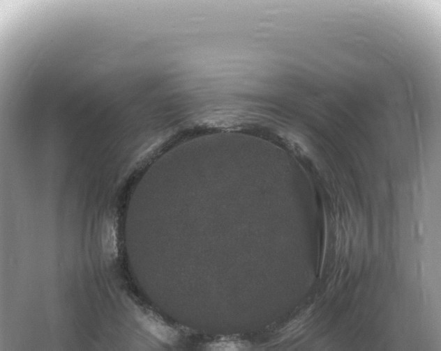 X0000062150404200512121313